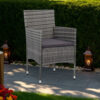 Gil Outdoor Dining Chair Set of 2, Gray Cushions and Poly Rattan