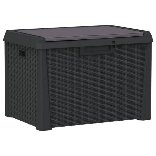 Reina Outdoor Storage Box, Cushion Seat, Dark Gray Polypropylene