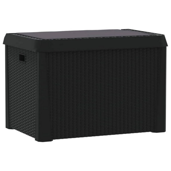 Reina Outdoor Storage Box, Cushion Seat, Dark Gray Polypropylene