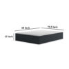 1502202669920f261529c.jpeg Deny Queen Mattress, Response Memory Foam, Plush Support 13 Inch