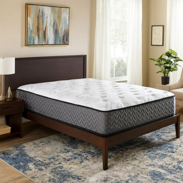 1502202669920f4c2be7e.jpeg Beny Twin Mattress, Bonnell Hybrid Coil, Foam, Firm Comfort 8 Inch