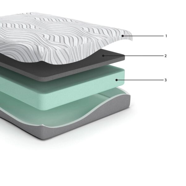 Meny Twin Mattress, Ultra Plush Memory Foam, Body Support 12 Inch