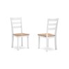 Gasy Dining Chair Set of 2, 22 Inch White and Brown Mango Wood Veneer