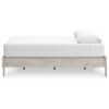 Shawn Queen Size Minimalist Platform Bed, Light Gray Wood, Low Profile