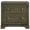 Seon Nightstand, 2 Drawers with Brass Knobs, Dark Cocoa Brown Wood