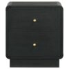 Cavy Nightstand, 2 Storage Drawers, Black Wood, Round Gold Knobs