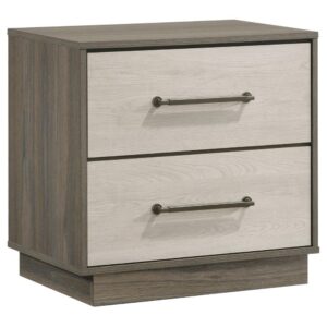 Fene Nightstand, 2 Storage Drawers with Nickel Handles, 24 Inch Gray