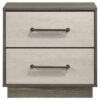 1502202669921ade5d76d.jpeg Fene Nightstand, 2 Storage Drawers with Nickel Handles, 24 Inch Gray