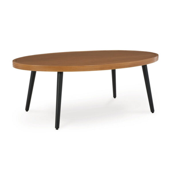 Izon Outdoor Cocktail Coffee Table, Modern 48 Inch Black Brown Metal