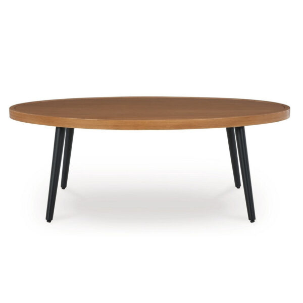 Izon Outdoor Cocktail Coffee Table, Modern 48 Inch Black Brown Metal