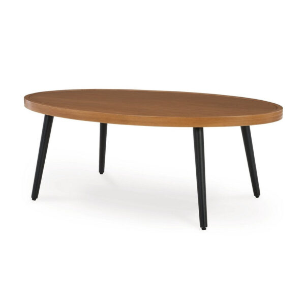 Izon Outdoor Cocktail Coffee Table, Modern 48 Inch Black Brown Metal