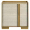 Hyle Nightstand, 2 Drawers, 24 Inch Modern Natural Brown and White