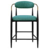 Tiara Counter Height Chair Set of 2, Teal Green, Black Metal 25 Inch