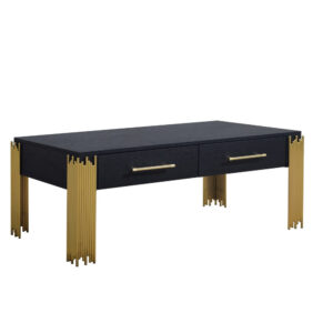 Theo Coffee Table, 2 Drawers, Gold Metal, Retro Black Wood 48 Inch