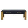 Theo Coffee Table, 2 Drawers, Gold Metal, Retro Black Wood 48 Inch