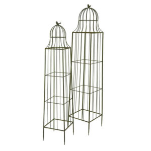 Meryl Plant Trellis Set of 2, Garden Tall Cage Design, Green Metal
