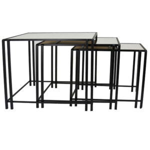 1502202669922bb502345.jpeg Buckley Nesting Plant Stand Table Set of 2, Black Metal, Mirrored Top