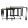Buckley Nesting Plant Stand Table Set of 2, Black Metal, Mirrored Top