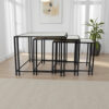 Buckley Nesting Plant Stand Table Set of 2, Black Metal, Mirrored Top