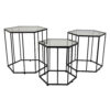 Kellie Plant Stand Table Set of 3, Black Metal, Hexagon Glass Tops