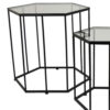 Kellie Plant Stand Table Set of 3, Black Metal, Hexagon Glass Tops
