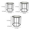 Kellie Plant Stand Table Set of 3, Black Metal, Hexagon Glass Tops