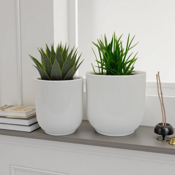 Lyna Accent Planter Set of 2, White Ceramic, Smooth Glossy Texture