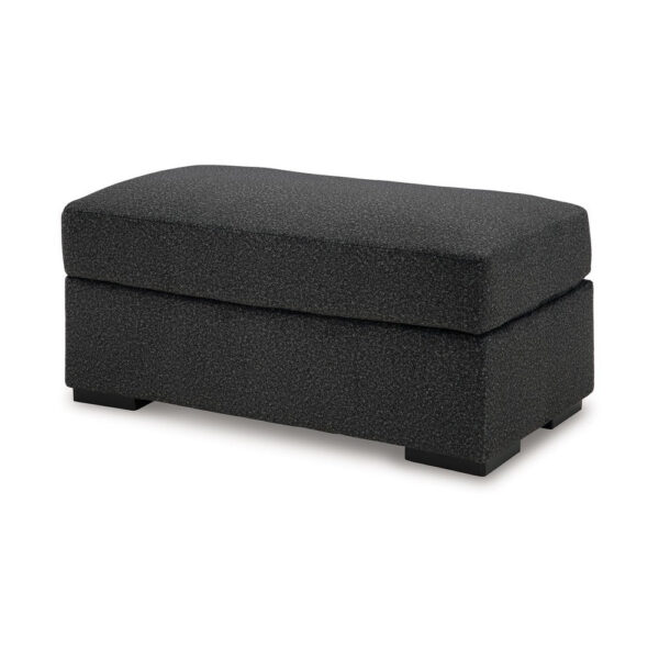 Wryen Accent Ottoman, Modern Plush Onyx Black Polyester, 44 Inch