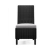 Tira Indoor Outdoor Side Chair Set of 2, Black Wicker, Gray Nuvella