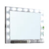 Fery Dresser Mirror w Light Bulbs, USB and Power, Glam Silver 44 Inch