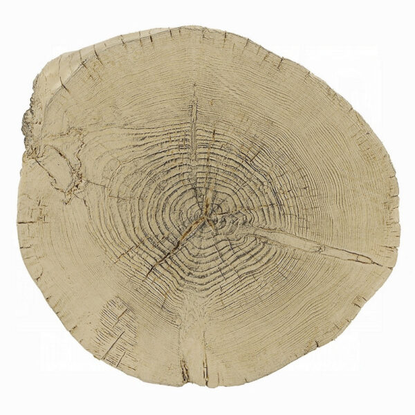 Rennie Accent Table, Light Natural Brown Cement, Log Shape, 14 Inch