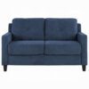 Royi Loveseat, Track Armrest, 58 Inch, Blue Fabric w Tufted Backrest