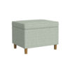 Fero Storage Ottoman, 24 Inch Rectangular Hinged Lid, Sage Green Woven