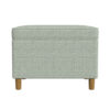 Fero Storage Ottoman, 24 Inch Rectangular Hinged Lid, Sage Green Woven