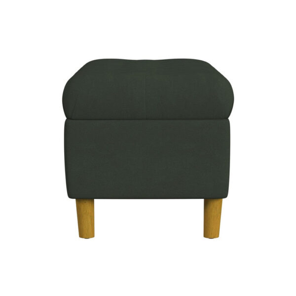 1502202669924b888b5b9.jpeg Sol Storage Bench Ottoman, Forest Green Soft Velvet, Brown, 40 Inch