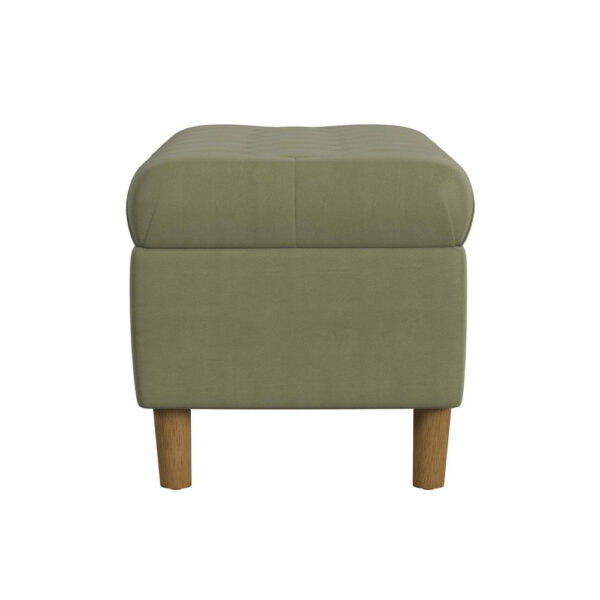 Sol Storage Bench Ottoman, Light Sage Green Velvet, Brown, 40 Inch