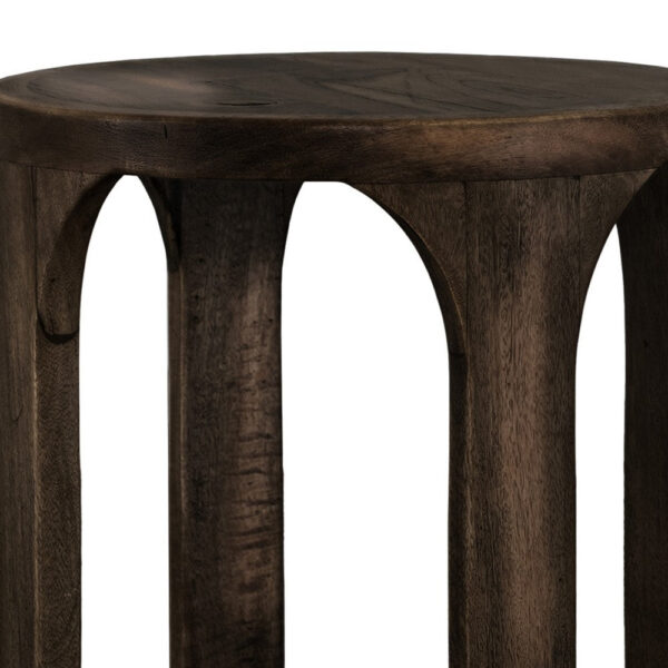 Eray Chairside Table with Shelf, Round Open Frame, Black Teak, 18 Inch