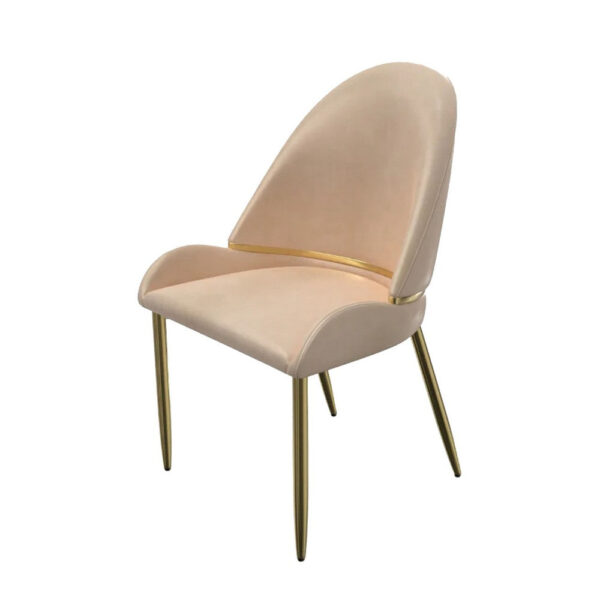 Mior Dining Chair Set of 2, Champagne Faux Leather, Gold Metal Accents