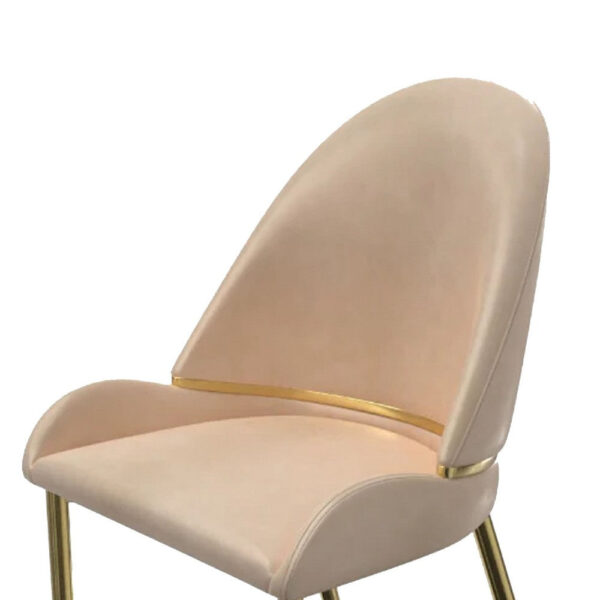 Mior Dining Chair Set of 2, Champagne Faux Leather, Gold Metal Accents