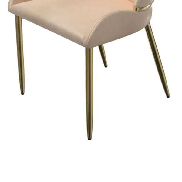 Mior Dining Chair Set of 2, Champagne Faux Leather, Gold Metal Accents