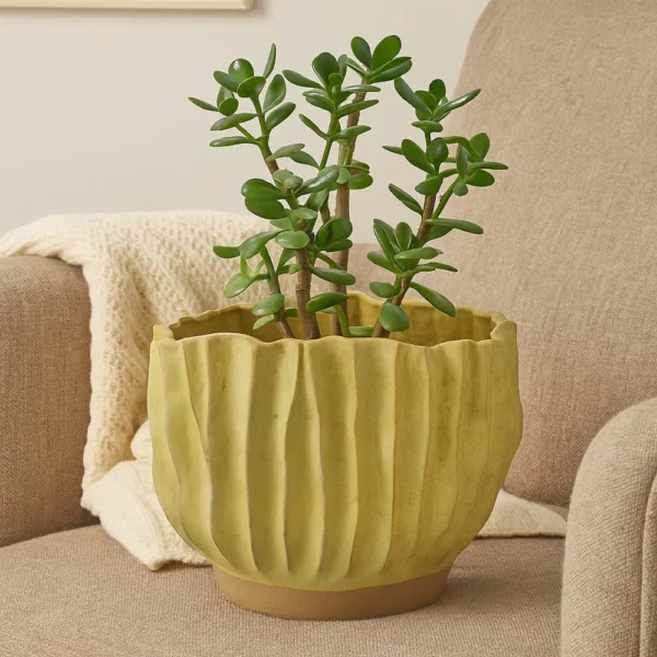 BM334887_5 Esam Decorative Planter, Textured Ceramic, 19 Inch Yellowish Green