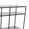 Woly Plant Stand Rack, 2 Glass Shelves, 59 Inch Industrial Black Metal