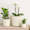 Elly Round Planter Set of 3, Vertical White Resin 18, 13, 9 Inch