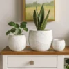 Sally Planter Set of 3, Round Intricate Leaf White Resin 17 13 9 Inch