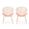 BM335156_058ce68f-a895-4c35-8fca-58042e6e0f45 Elie Outdoor Chairs Set of 2, Wing Mesh Curved Back, Orange Iron Frame