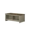 BM335498_faed677a-12ea-4dfd-822f-c860fe84ded3 Nena Coffee Table with Open Shelves, Brown Wood Top, Oak Gray 43 Inch