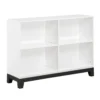 Thiem Bookcase, 4 Cube Shelves, White, Black Veneer, 43 Inch