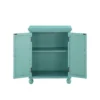 Anik Accent Cabinet, 2 Mirror Inlaid Glass Door, Aqua Green Wood