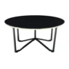 Amyra 3pc Occasional Coffee and End Table Set, Black Glass, Gold