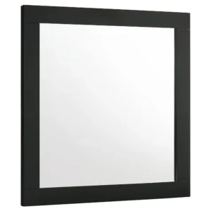 Caer Dresser Mirror, Rectangular Classic Black Asian Hardwood 35 Inch